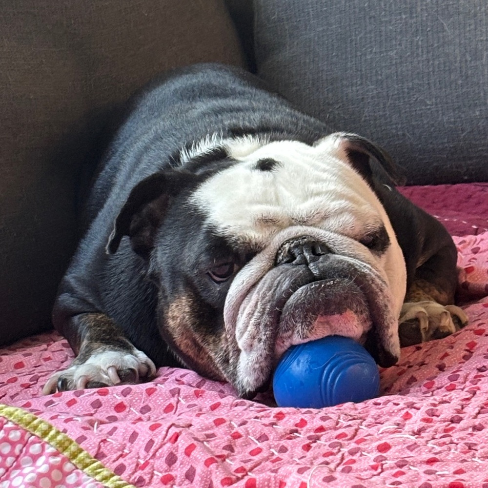 Meet your Posher, Debra